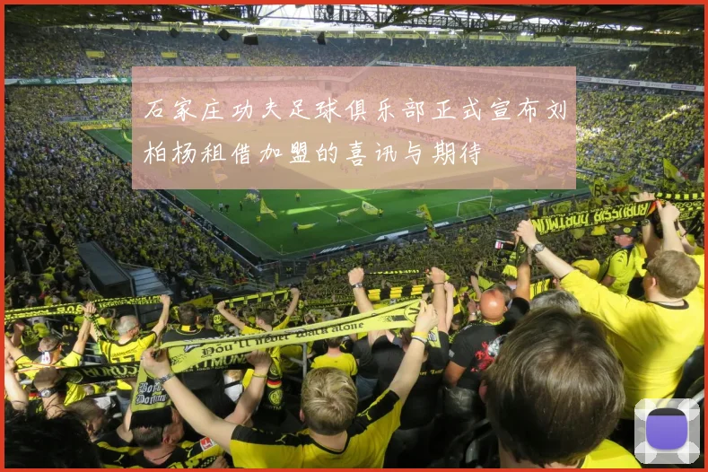 石家庄功夫足球俱乐部正式宣布刘柏杨租借加盟的喜讯与期待
