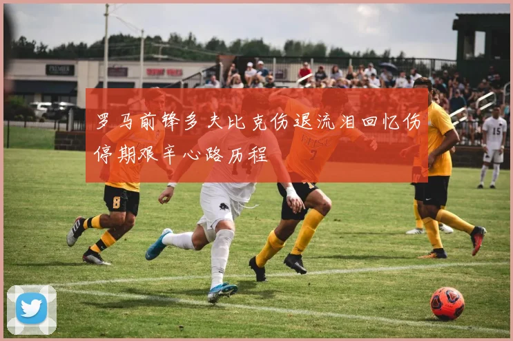 罗马前锋多夫比克伤退流泪回忆伤停期艰辛心路历程