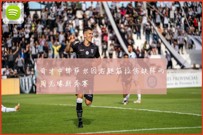 奇才中锋萨尔因右腿筋拉伤缺阵两周无缘新秀赛