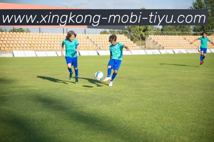 星空体育APP 封面图