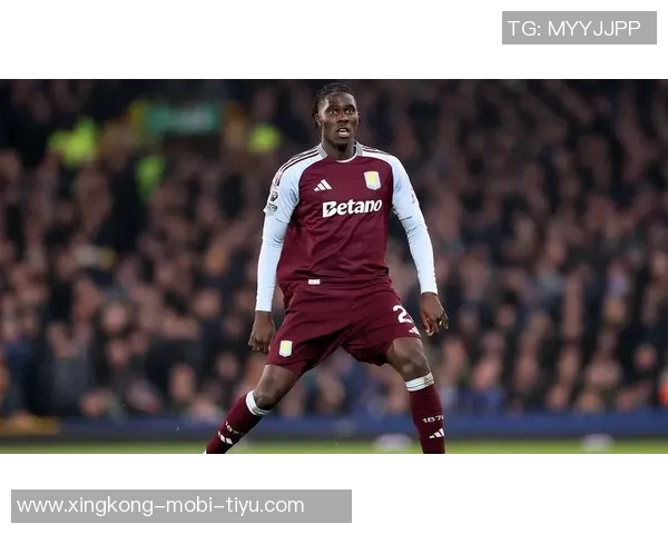 英足总调查热刺与维拉冲突事件球迷热议责任归属